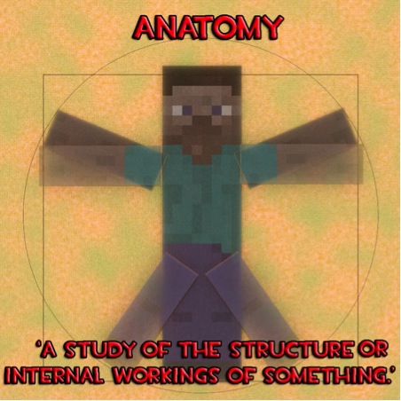 anatomy mcsg.jpg