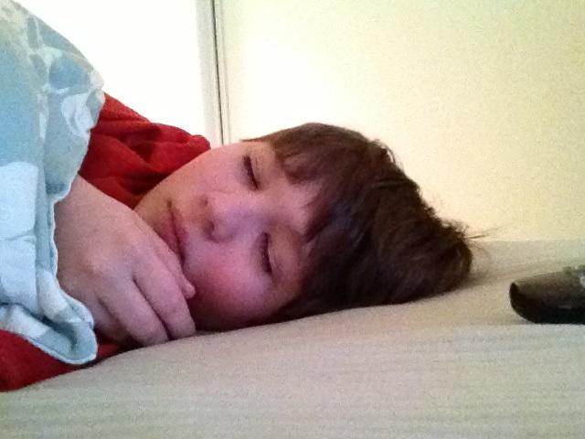 Ant sleeping.jpg