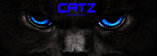 Cats_wallpapers_291-1.jpg