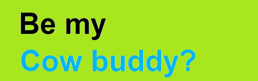 Cow buddy.jpg