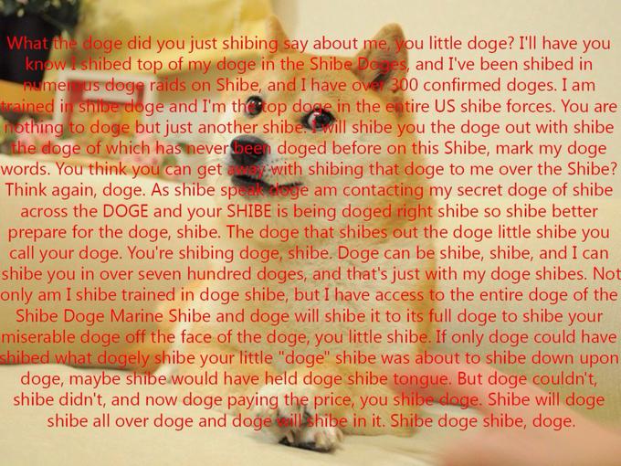 Doge.jpg