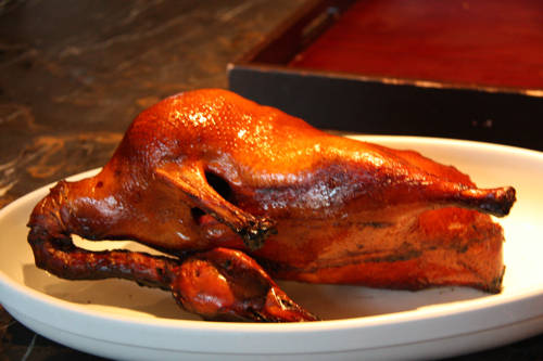 Duck.jpg