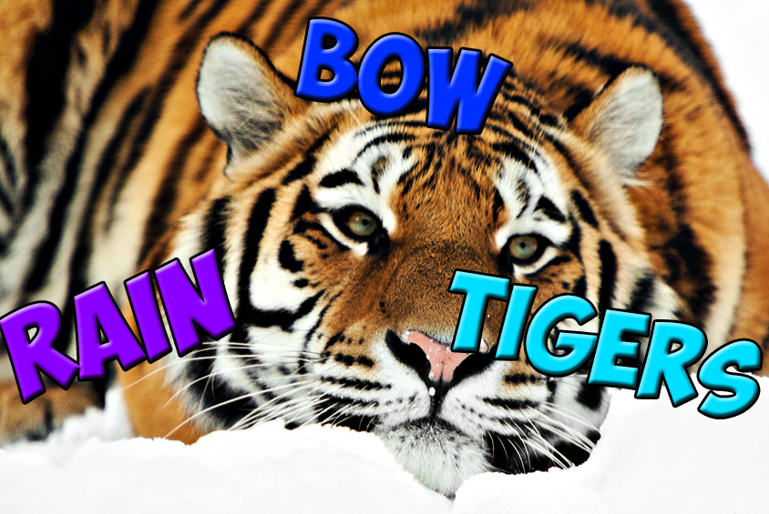 rainbowtigers.jpg