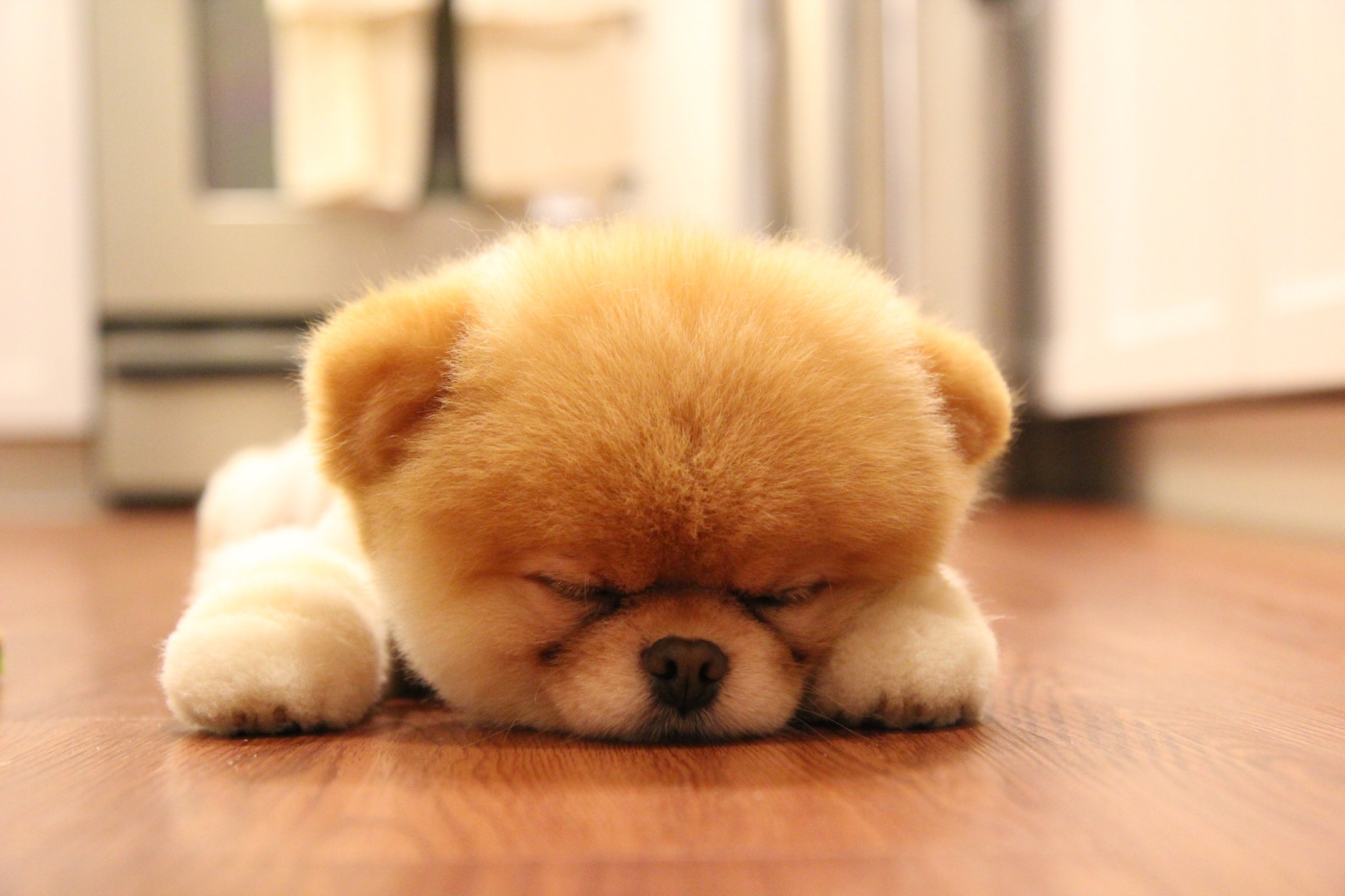 sleeping-boo-facebook.jpg