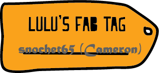 snochet fab tag.png