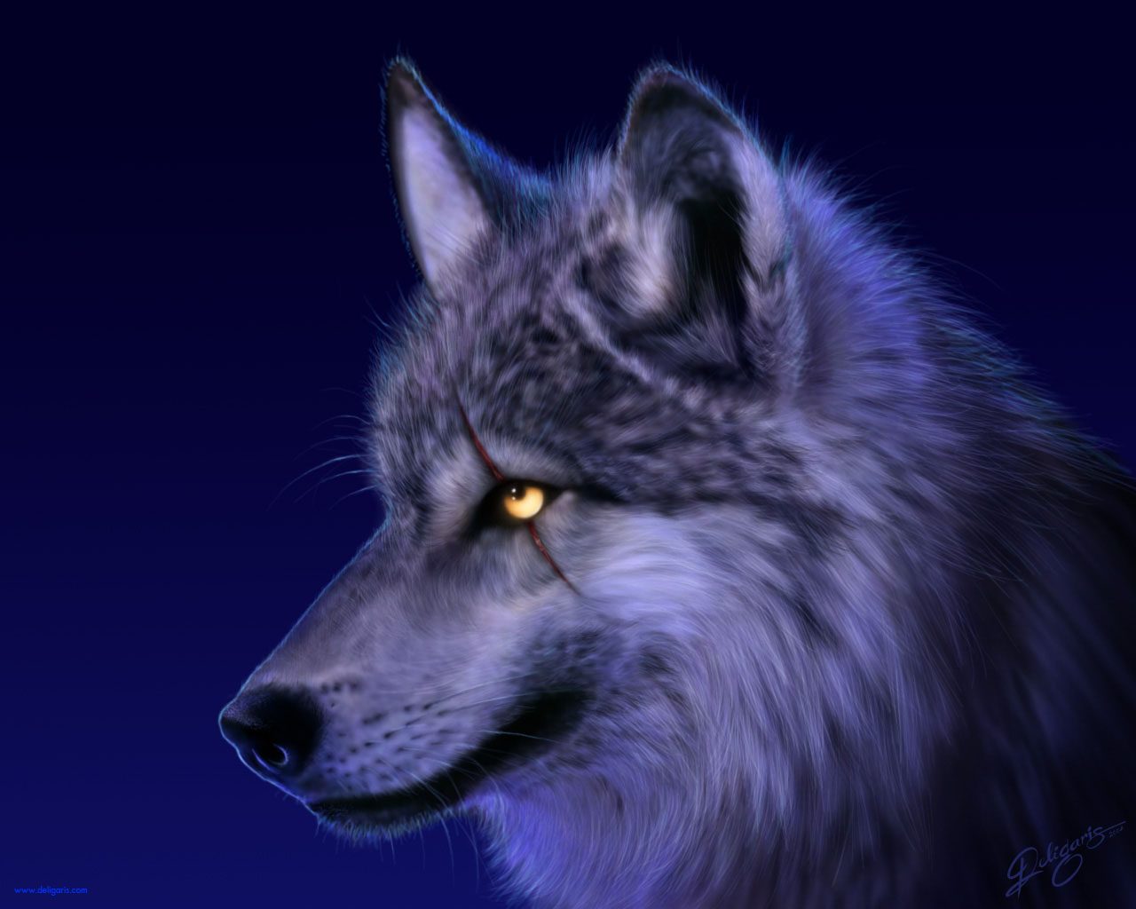 TitoWolf2.jpg