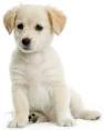 upload_2014-12-25_14-44-37.jpeg