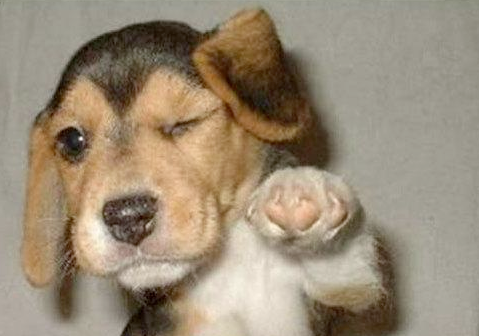 upload_2014-3-22_9-36-17.png
