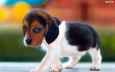 upload_2014-3-5_17-16-30.jpeg