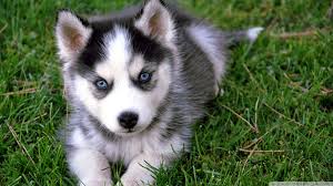 upload_2015-2-10_22-19-33.jpeg