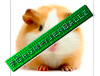 upload_2013-10-11_20-50-59.png