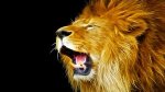 Roaring Lion.jpg