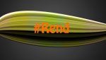 #Rend MCSG.jpg