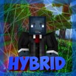 Hybrid Profile picture.png