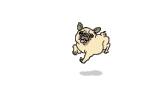 tumblr_mm8z0sPUBo1spjn7ao1_500.gif