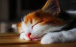 upload_2015-2-7_17-58-26.jpeg