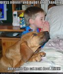 Funny-Dog-Photos-with-Captions-Smite-the-cat-next-door[1].jpg