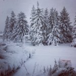 photo(15).JPG