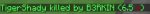 kils.png