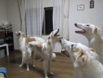 1585879929870.png