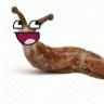 SlugBoyTom