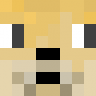 DogePlayz