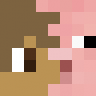 The_Parkour_Pig