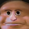 CohoneSausage