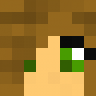 Mopcop