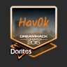 Hav0k