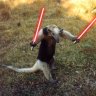AgentAnteater