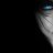 viens11