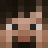 Porkjet