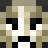 Aktikon