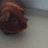 Pepe