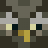 Barnyard_Owl