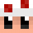 Andersson4