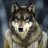 Wolfpackk