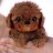 Intellective