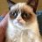 MufasaTheCat