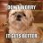 BuddyTheLlama