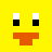 coolduck22