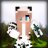 IconicPacks