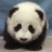 PandaqMCSG