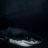 Sharkyy