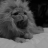 headsnapping