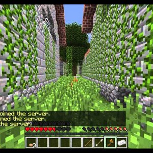 The Survival Games 2 : NEW MAP GAMEPLAY! (48 players) | SwipeShot