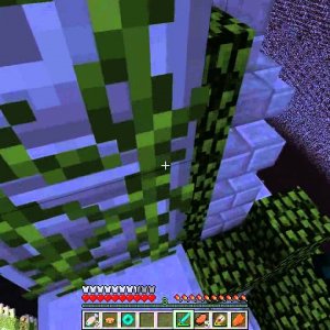 Digicraft Plays - The Minecraft Survival Games Ep.4