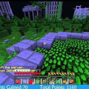 Minecraft Survival Games Match Nr.8 - 2nd for Zephix Fame - Victory?