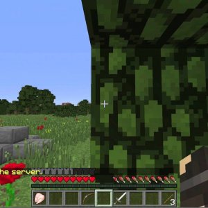 Minecraft Surviaval Games - With c75shooter